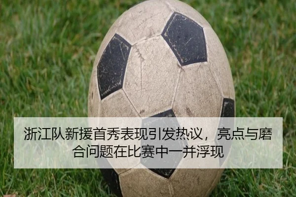 浙江队新援首秀表现引发热议，亮点与磨合问题在比赛中一并浮现